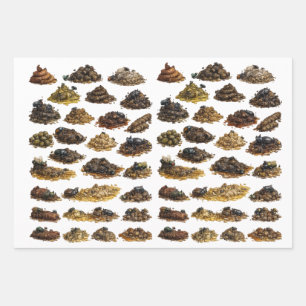 Feuille De Papier Cadeau Motif de tas de caca drôles