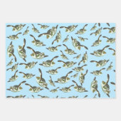 Feuille De Papier Cadeau Motif des Tortues de mer (Devant)
