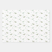 Feuille De Papier Cadeau Motif Dinosaure Vert (Devant 3)