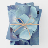 Feuille De Papier Cadeau Motif doux bleu Hydrangea (En situation)