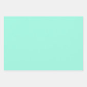 Feuille De Papier Cadeau Motif en treillis floral blanc et menthe (Devant 2)
