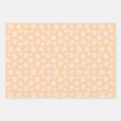 Feuille De Papier Cadeau Motif Fleur Cute Daisy (Devant 2)