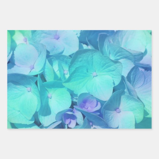 Feuille De Papier Cadeau Motif Hydrangea 2 (Devant 3)