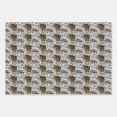 Feuille De Papier Cadeau Motif Leopard & Peonies (Devant)