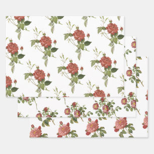 Feuille De Papier Cadeau Motif Rose Rouge