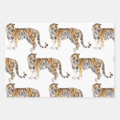 Feuille De Papier Cadeau Motif sauvage des tigres d'aquarelle tropicale mod (Devant)