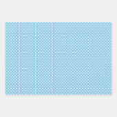 Feuille De Papier Cadeau Motif Shabby Chic Bleu Rose Vert Tailles (Devant)