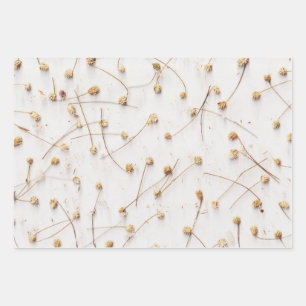 Feuille De Papier Cadeau Motifs plantes séchés pour mariages et cadeaux