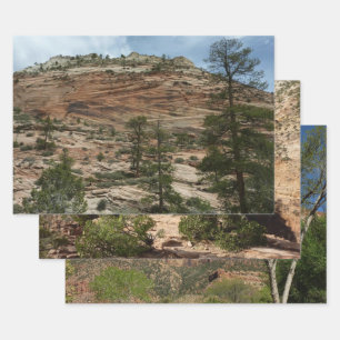 Feuille De Papier Cadeau Murs de roche usés dans le parc national de Zion