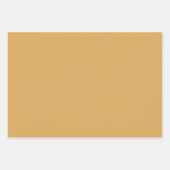 Feuille De Papier Cadeau MVB Faux Green Suede Gold Coordinate Design (Devant 3)