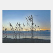 Feuille De Papier Cadeau Myrtle Beach Grass Sunrise Photo (Devant 2)
