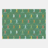 Feuille De Papier Cadeau Natural Wonder Mixte Motif Anniversaire (Devant)