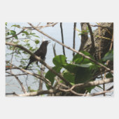 Feuille De Papier Cadeau Nature Critters Wrapping Paper Sheets (Devant 2)