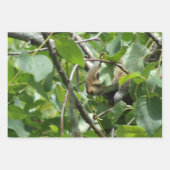 Feuille De Papier Cadeau Nature Critters Wrapping Paper Sheets (Devant)