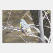 Feuille De Papier Cadeau Nature Critters Wrapping Paper Sheets (Devant 3)