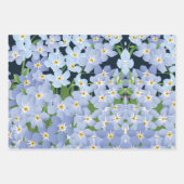 Feuille De Papier Cadeau Ne m'oublie pas (Devant 3)