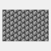 Feuille De Papier Cadeau Nikola Tesla À L'Âge 40 1896 (Devant)