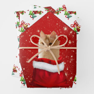 Feuille De Papier Cadeau Noël à Angora Cat