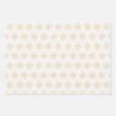 Feuille De Papier Cadeau Noël botanique d'hiver (Devant 2)