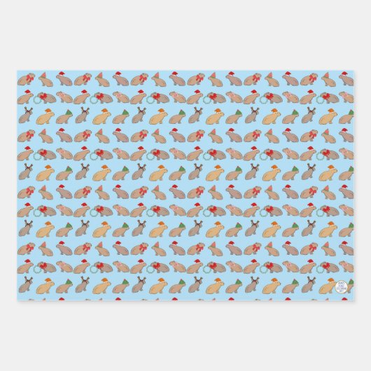 Feuille De Papier Cadeau Noël Capybara mignon Zoo animal à la main (Devant 3)
