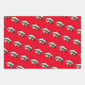 Feuille De Papier Cadeau Noël Joe et Kamala (Devant 3)