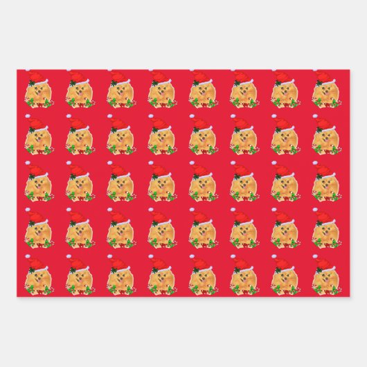 Feuille De Papier Cadeau Noël Poméranien de Cute Père Noël (Devant)