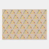 Feuille De Papier Cadeau North American Hummingbirds Pattern (Devant 3)