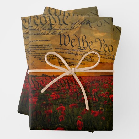 Feuille De Papier Cadeau Nous Le Peuple (En situation)