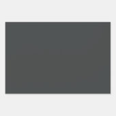 Feuille De Papier Cadeau Nuances de gris de Platinum Payne en Onyx Plain 3 (Devant)