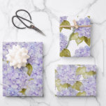 Feuille De Papier Cadeau Nuances Hydrangea Bleu Violet<br><div class="desc">Aquarelle Peinte à la main,  support mixte</div>