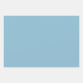 Feuille De Papier Cadeau Occidental Tan Tan Turquoise Ensemble de 3 (Devant 3)