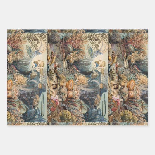 Feuille De Papier Cadeau Océan Monde, Sous la mer, Nautique (Devant)