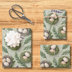Feuille De Papier Cadeau Œufs de Pâques Vert Sauge Simple Nid de Lavande