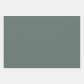 Feuille De Papier Cadeau Oie pure vert Loup Gris Tons 3 Tons (Devant 2)