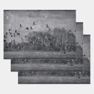 Feuille De Papier Cadeau Oies Vintage Texture noir et blanc Découpage