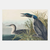 Feuille De Papier Cadeau Oiseau de Courlis à long bec Audubon (Devant 2)