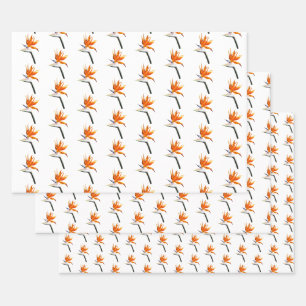 Feuille De Papier Cadeau Oiseau de paradis Fleur tropicale orange