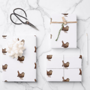 Feuille De Papier Cadeau Oiseau Wren (Troglodytes Troglodytes)