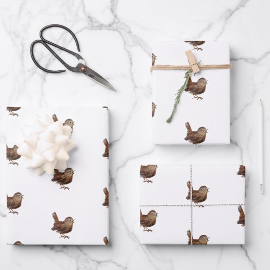 Feuille De Papier Cadeau Oiseau Wren (Troglodytes Troglodytes) (Recto)