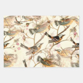 Feuille De Papier Cadeau Oiseaux et abeilles (Devant)