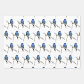 Feuille De Papier Cadeau Oiseaux sauvages (Devant)