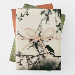 Feuille De Papier Cadeau Oiseaux Tropicaux