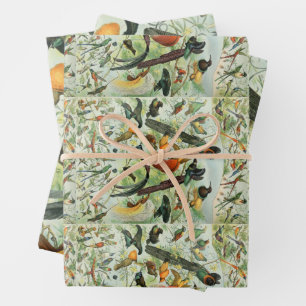 Feuille De Papier Cadeau Oiseaux vintages Vieux livre Illustration Art Anim