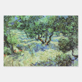 Feuille De Papier Cadeau Olive Grove par Vincent van Gogh (Devant)