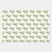 Feuille De Papier Cadeau Olives élégantes (Devant)