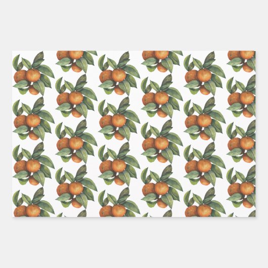 Feuille De Papier Cadeau Oranges et verdure - 3 designs (Devant 2)