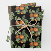 Feuille De Papier Cadeau Oranges et verdure - 3 designs (En situation)