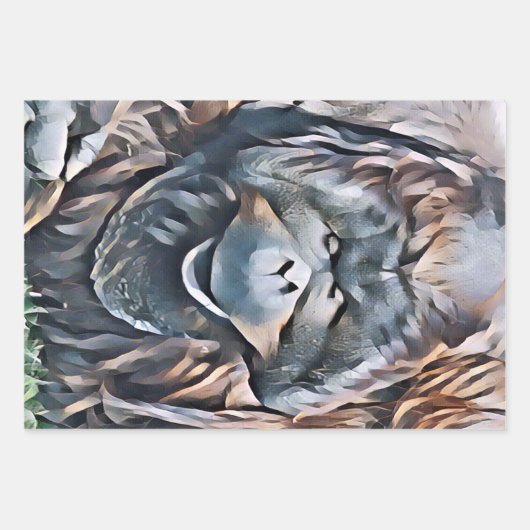 FEUILLE DE PAPIER CADEAU ORANGUTAN (Devant 2)