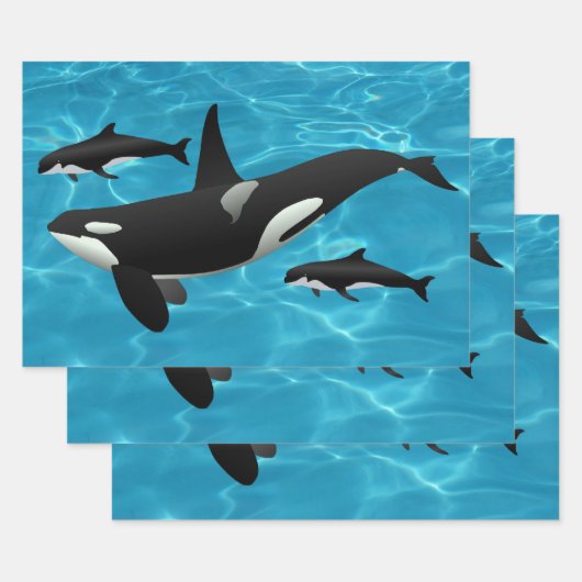 Feuille De Papier Cadeau Orca Whales (Lot)
