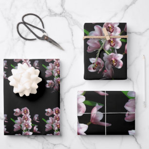 Feuille De Papier Cadeau Orchid insanity on Black